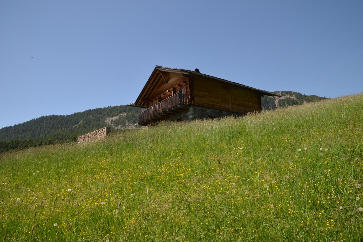 Platzer Alm 26.06.2019